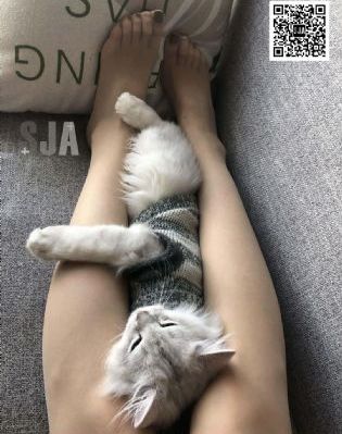 aaaaa午夜影院在线观看_BD英语完整版观看
