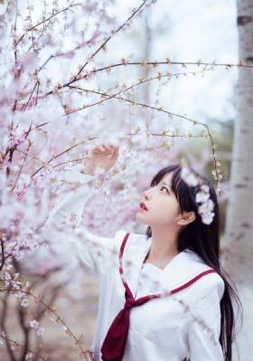 泰剧真爱无价国语免费观看_HD电影在线看